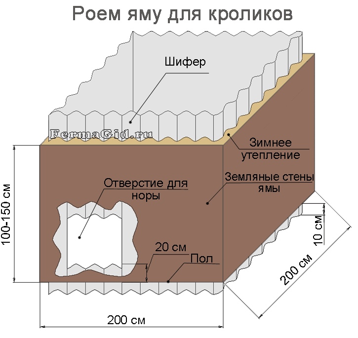 Яма для кроликов своими руками чертежи